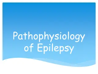 Pathophysiology of Epilepsy and Seizures Explained