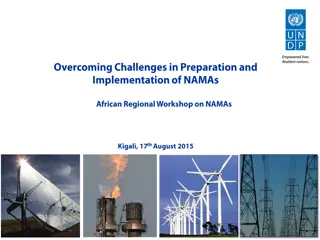 Challenges and Success Factors in NAMA Preparation and Implementation