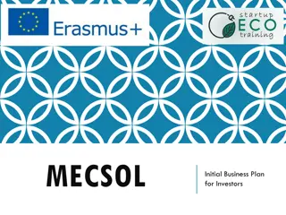 MECSOL Initial Business Plan for Investors