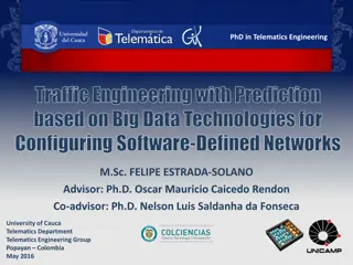 PhD in Traffic Engineering with Big Data Predictions for Software-Defined Networks
