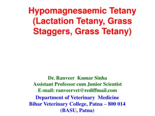 Hypomagnesaemic Tetany in Lactating Ruminants: Overview