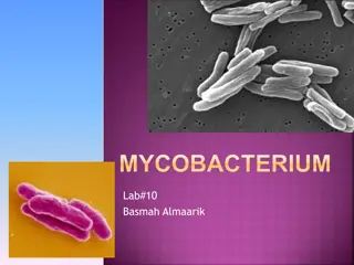 Overview of Mycobacterium and Staining Techniques in the Lab