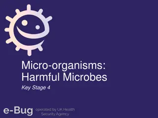 Harmful Microbes and Disease Transmission