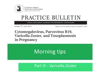 Varicella Zoster Virus - Infection, Symptoms, and Management