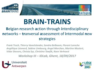 BRAIN-TRAINS Belgian Research - Interdisciplinary Transversal Assessment