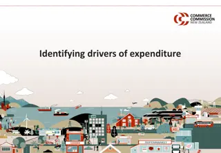 Drivers of Expenditure in Electricity Distribution