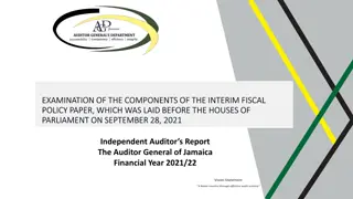 Interim Fiscal Examination Report Overview