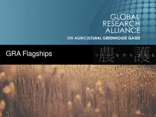 GRA Flagships Strategic Plan for Sustainable Solutions