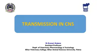 Neural Transmission in CNS