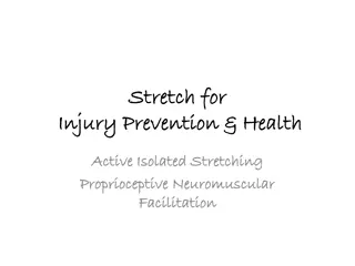 Comprehensive Stretching Techniques for Injury Prevention & Health