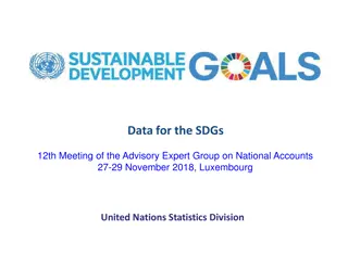 Data for SDGs: Meeting of the Advisory Expert Group on National Accounts