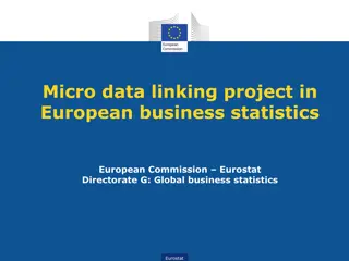 European Business Statistics Micro Data Linking Project