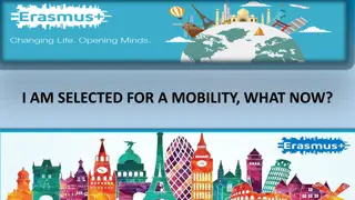 Selected for Mobility: Understanding Erasmus Traineeship