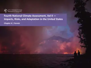 Climate Change Impacts on Forest Health and Ecosystem Services