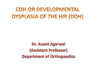 Developmental Dysplasia of the Hip (DDH) Overview