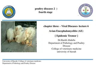 Avian Encephalomyelitis (AE) - Lecture on Viral Disease in Poultry