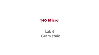 Saccharomyces: Genus of Fungi for Food Production