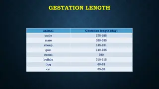 Factors Affecting Gestation Length in Various Animal Species