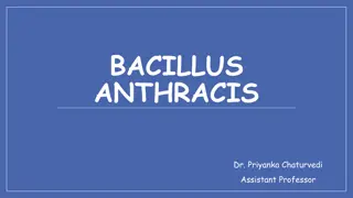 Bacillus Anthracis: Causative Agent of Anthrax