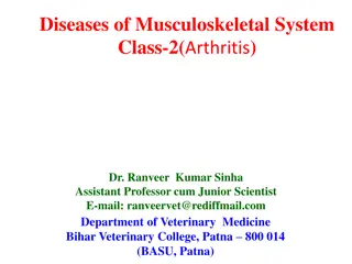 Arthritis in Dogs and Cats: Understanding DJD and Etiology