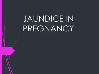 JAUNDICE IN