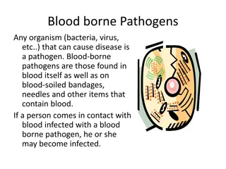 Blood-borne Pathogens and Universal Precautions