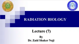 Acute Radiation Syndromes: Types, Phases, and Effects
