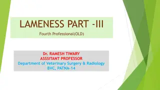 Veterinary Surgery and Radiology Insights