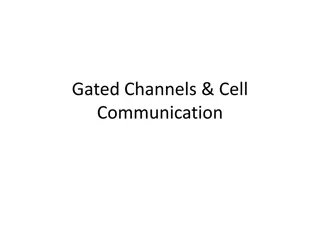 Ion Channels: Gated Channels & Cell Communication