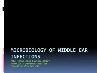 Microbiology of Middle Ear Infections: Overview & Classification