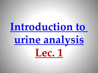 Introduction to Urine Analysis in the Urinary System