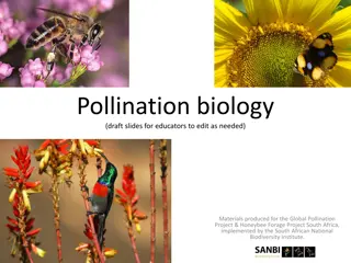 Pollination Biology Slides for Educators