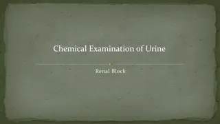 Chemical Examination of Urine: Differentiating Normal vs. Abnormal Constituents