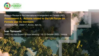 Midterm Review of International Arrangement on Forests: Actions & Progress