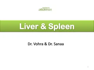 Liver and Spleen: Anatomy and Relations