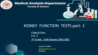 Kidney Function Tests: Clinical Insights