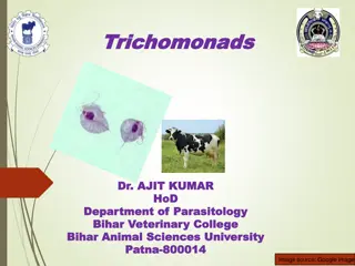 Trichomonas: Parasites in Cattle and Other Animals