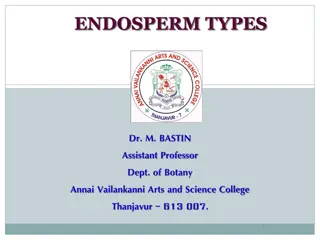 Types of Endosperm Formation