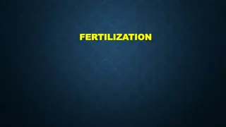 Overview of Fertilization Process in Reproduction