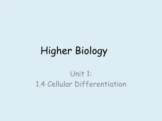 Cellular Differentiation in Organisms