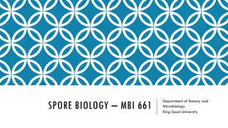 Spore Formation in Microorganisms