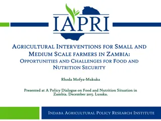 Agricultural Interventions for Smallholder Farmers in Zambia