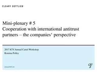 Cooperation with International Antitrust Partners: Companies' Perspective