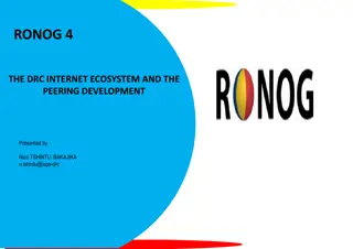 RONOG 4