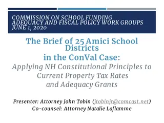 NH School Funding Adequacy: Amici Brief, Goals, Themes & Constitutional Principles