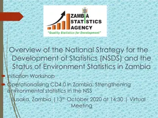 Strengthening Environment Statistics in Zambia: NSDS Overview and Status