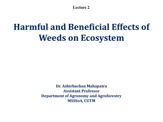 Understanding Harmful and Beneficial Effects of Weeds on Ecosystem