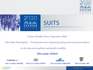 Sustainable Mobility Development in Alba Iulia Municipality