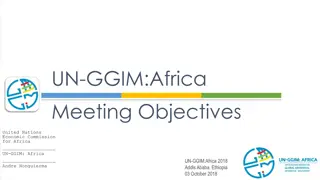 UN-GGIM:Africa Meeting Objectives and Progress Review