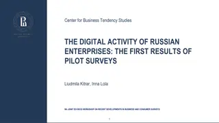 Digital Activity of Russian Enterprises: Pilot Surveys